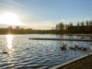 Southfields